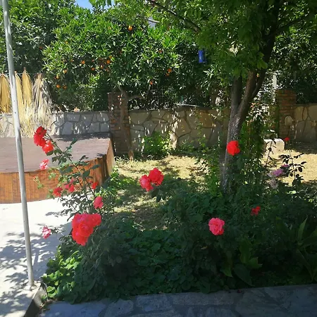 Gala Apartamento